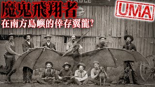 【UMA檔案】魔鬼飛翔者Ropen-隱身在南方島國中的活翼龍?美國亞歷桑那州獵捕翼龍事件|印第安那雷鳥傳說|未確認生物|超自然|古文明|外星人|