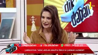 Dikdaban - 10.12.2019