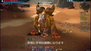 TERA　フォークファングチュラ　ランサーソロ