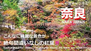 【奈良観光　天川村】 圧巻の紅葉🍁みたらい渓谷と龍泉寺をめぐる　情緒あふれる洞川温泉の街並みに癒される！