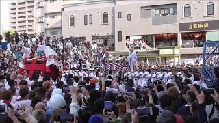 松山道後秋祭り２０１９　本宮　小唐人対湯之町