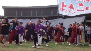 さかど華吹雪　第３回そ・ら・ら茨城どまんなかよさこい祭り　ピーマンサンバ