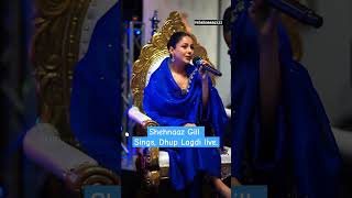 Shehnaaz live singing Dhup Lagdi #shehnaazgill #shortsvideo #ytshorts #dhuplagdi