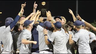 Highlights: DI Baseball World Series - Championship