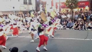 高円寺8月のお祭り、阿波踊り