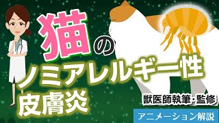 猫のノミアレルギー性皮膚炎について【獣医師執筆監修】症状から治療方法まで