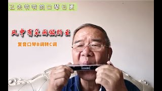 风中有朵雨做的云-复音口琴B调转C调 | 没想到这首歌已经快三十年了