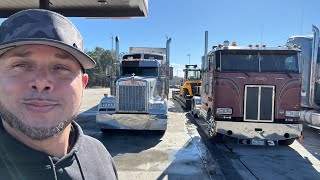 CABOVER And W900 Studio Take a Break !! $3700 in 3 days OTR CDL !! TQL comes around