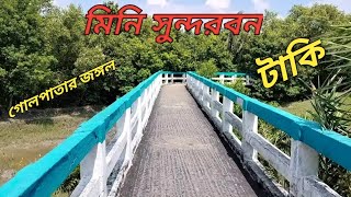 টাকি মিনি সুন্দর বন | গোলপাতার জঙ্গল | টাকি ভ্রমন | M Roshni