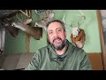 tracking bucks aging a buck by his track deer stories mistakes i have made tracking tips