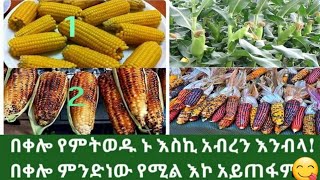 🔴በቆሎ#እሸት#🌽ማነው የናፈቀው#ኑ እኔጋር እንብላ#የመጀመሪያጊዜ#አረብ አገር#እሸትበላሁ!📍REHIMA\u0026ARAGAW TUBE#like#share#subscribe#