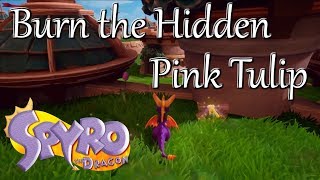 Spyro Reignited Trilogy: Burn the Hidden Pink Tulip - Location in Stone Hill