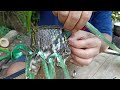 a man makes a fiddle from bamboo and snake skin.