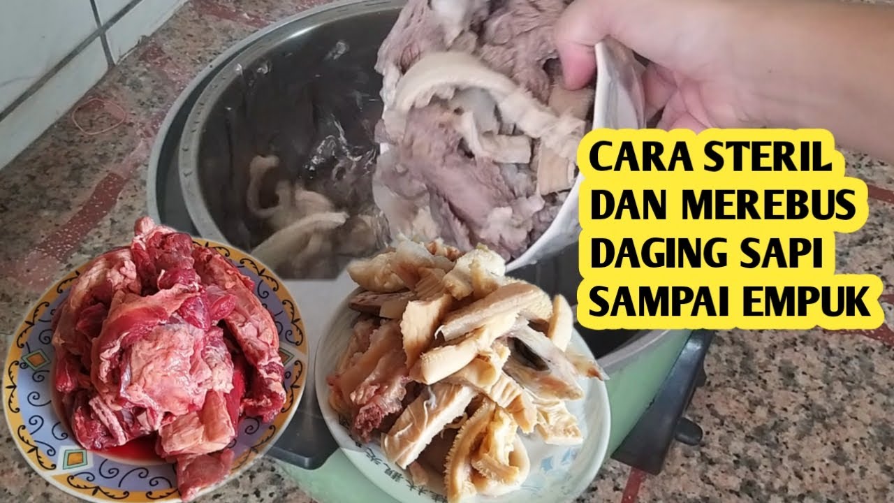 CARA STERIL DAN MEREBUS DAGING SAPI SAMPAI EMPUK - YouTube