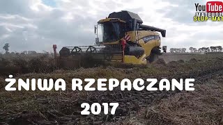 Żniwa rzepaczane na 2 nowe kombajny New Holland CX 6080 Engine Sound