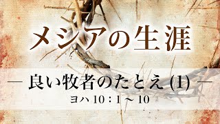 メシアの生涯（114）―良い牧者のたとえ（1）― ヨハ10：1～10