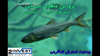 پرورش ماهیان سردآبی در استخرهای ذخیره آب کشاورزی