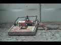 【閲覧注意】ネズミがネズミ捕りにかかる瞬間2（mouse trap）