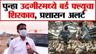 पुन्हा उदगीरमध्ये बर्ड फ्ल्यूचा शिरकाव, प्रशासन अलर्ट मोडवर: Udgir birds Flu