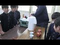 種子島の学校活動：上西小学校お茶のふれあい事業「お茶の生産」と「お茶の淹れ方」教室