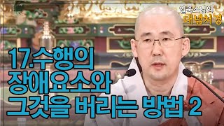 |#일묵스님|수행의 장애요소와 장애요소를 버리는 방법2 #대념처경 강의 17