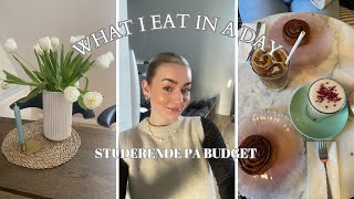 STUDERENDE PÅ BUDGET // What I eat in a day