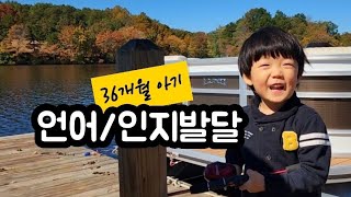 36개월 아기 언어/인지 발달🐥🐤🐣@hurryk000