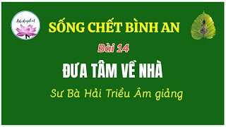 Bài 14_Đưa Tâm Về Nhà | Sống Chết Bình An | Sư Bà Hải Triều Âm giảng