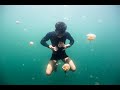 Los Bajau pueblo de superhumanos desarrollado genéticamente para vivir bajo el agua #youtube #shorts