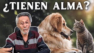 ¿Los animales tienen alma?