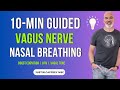 10 Minute Guided (NSDR) Nasal Vagus Nerve Access Session