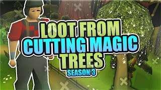Cutting Magic Trees | Testing OSRS Wiki Money Makers | Money Making Guide 2021