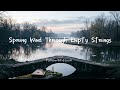 Followthesun - Spring Wind Through Empty Strings (Official Song)