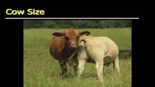 Cleere Lecture 16 Part 1