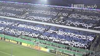 Zebras in Berlin! MSV Duisburg vs. Energie Cottbus, Pokalhalbfinale -- mit Choreo