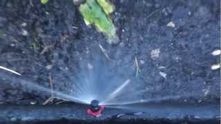 Micro sprinkler 145L/H red 180 degree