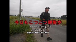 さぁ～、今日は何しよう？「今日もコツコツ朝散歩。」【えびてつチャンネル】