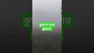 কুয়াশা আর কুয়াশা ভোরা শীতের সকাল #song #bollywood #love