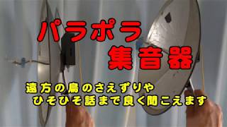 パラポラ型集音器　おもしろ【DIY】