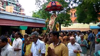 Sivakasi Sivan kovil விசுவநாத சுவாமி திருக்கோவில் பிரதோஷ வழிபாடு