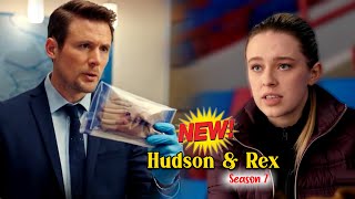 New Season 7 Hudson & Rex 2024 | Hudson & Rex Full Episode 2024 | Hudson & Rex 2024 New Episode