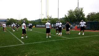 Steelers OTA 1