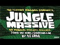 DJ Hype - Jungle Massive CD1