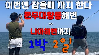 경주 1박2일동안 접수하고 갑니다