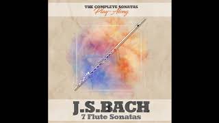 Accompaniment – J.S.Bach Flute Sonata B Minor III. Presto | BWV 1030