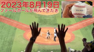 2023年8月19日 ファールボールが飛んできた