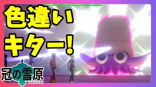 【ポケモンソードシールド】色違いキター！古代のカセキイベントで色違い発生中！冠の雪原【エキスパンションパス】