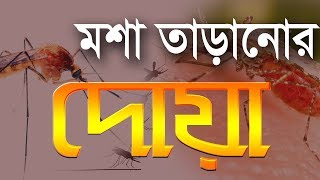 মশা তাড়ানোর দোয়া || Mosquito repellent doa || banglar muslim