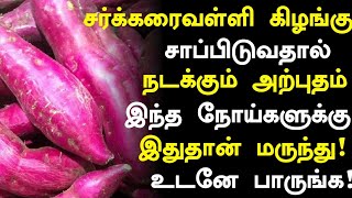 சர்க்கரைவள்ளி கிழங்கு நன்மைகள்!| Sakkaravalli Kilangu Health Benefits Benefits in Tamil |Health Tips