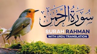 Surah Ar-Rehman with Urdu Translation || سورةالرحمن || surah  Rehman || @Quranstudio0